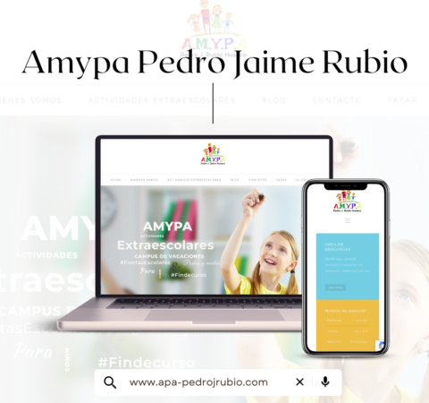 Diseño web Amypa Pedro Jaime Rubio diseño Laura Parra Msocial Huesca