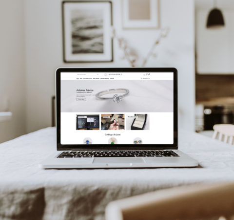 Diseño web- ecommerce adamas Ibérica Msocial