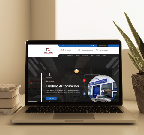 Diseño web- Trallero Automoción - MSocial
